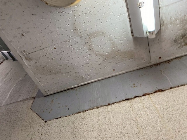 室内雨染み