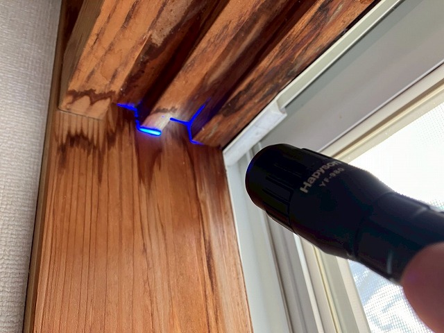 レインボービューシステムで青く反応している写真