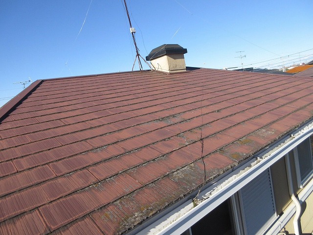 苔が発生している屋根写真