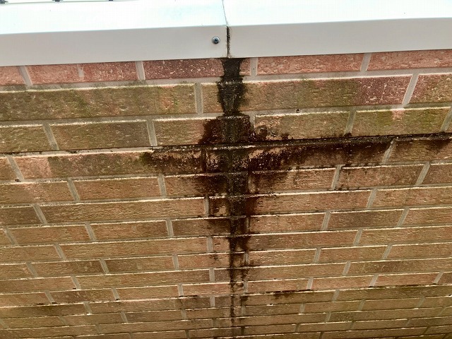 雨だれしている写真