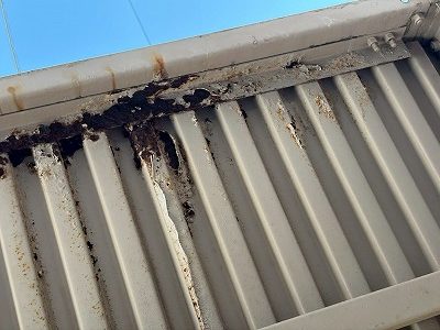共用部天井の劣化